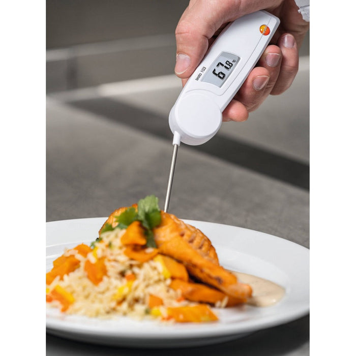 Testo 103 Penetration Thermometer