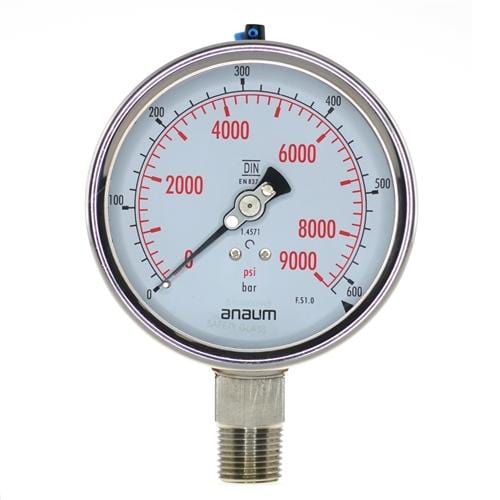 Anaum SS3020 : Pressure Gauge - 100mm dia, 1/2" NPT, 0~600bar - Anaum - Test and Measurement